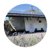 Örökzöld-Levendula Apartman